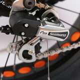 NAKTO Fat Tire Electric Bike Discovery