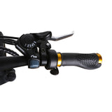 NAKTO Fat Tire Electric Bike Folding Mini Cruiser