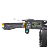 NAKTO Fat Tire Electric Bike Discovery