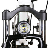 NAKTO Fat Tire Electric Bike Mini Cruiser