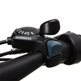 NAKTO Fat Tire Electric Bike Discovery