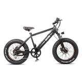 DISCOVERY 48V EBIKE