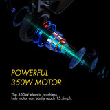 ANYHILL Electric Kick Scooter UM-1