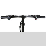 NAKTO Skylark Folding Electric Bicycle 16''