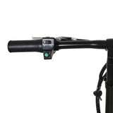 NAKTO Skylark Folding Electric Bicycle 16''