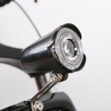 NAKTO Fat Tire Electric Bike Discovery