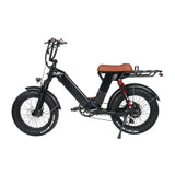 GREEN PEDEL Fat Tire Electric Bike GP-F2