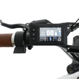 GREEN PEDEL Fat Tire Electric Bike GP-F3