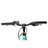 EUNORAU E-TORQUE Electric Commuter Bike