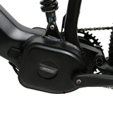EUNORAU FAT-HS Electric 26" Fat Tire Mountain Bike