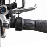 EUNORAU MAX-CARGO Electric Commuter Bike