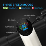 ANYHILL Electric Scooter UM-2