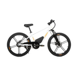 EKIDS 24 1.0 Youth E-Bike