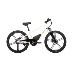 EKIDS 24 1.0 Youth E-Bike