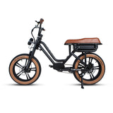 FLASH AWD 1.0 Moped Utility E-Bike