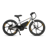 EKIDS 20 1.0 Youth E-Bike
