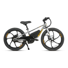 EKIDS 20 1.0 Youth E-Bike