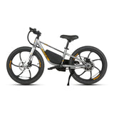 EKIDS 20 1.0 Youth E-Bike