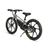 EKIDS 20 1.0 Youth E-Bike