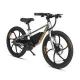 EKIDS 20 1.0 Youth E-Bike