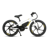 EKIDS 20 1.0 Youth E-Bike