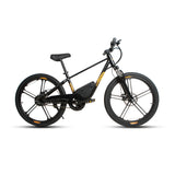 EKIDS 24 1.0 Youth E-Bike