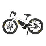 EKIDS 20 1.0 Youth E-Bike