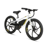 EKIDS 20 1.0 Youth E-Bike