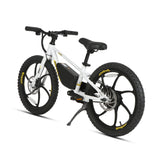EKIDS 20 1.0 Youth E-Bike