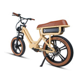 FLASH AWD 1.0 Moped Utility E-Bike