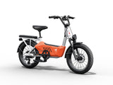 Himiway SUV C3 - Family Series E-bike