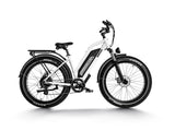 Himiway D3 Cruiser ST - All-Terrain Electric Bike