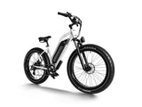 Himiway D3 Cruiser ST - All-Terrain Electric Bike
