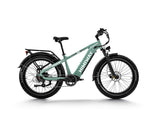 Himiway D5 Zebra - All-terrain Electric Fat Bike