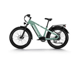 Himiway D5 Zebra - All-terrain Electric Fat Bike