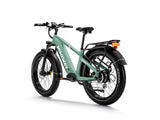 Himiway D5 Zebra - All-terrain Electric Fat Bike