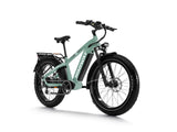 Himiway D5 Zebra - All-terrain Electric Fat Bike