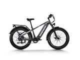 Himiway D5 Zebra - All-terrain Electric Fat Bike