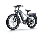 Himiway D5 Pro - All-terrain Electric Fat Bike