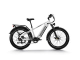 Himiway D5 Zebra - All-terrain Electric Fat Bike