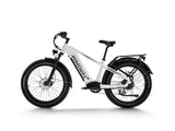 Himiway D5 Zebra - All-terrain Electric Fat Bike