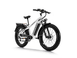 Himiway D5 Zebra - All-terrain Electric Fat Bike
