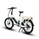 Eunorau MAX-CARGO 2.0 Utility E-Bike