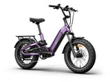 Himiway D5 2.0 20" - Full Suspension Fat Bike