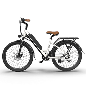 AOSTIRMOTOR G350 Electric Commuter Bike