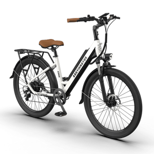 AOSTIRMOTOR G350 Electric Commuter Bike