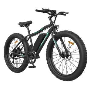 AOSTIRMOTOR S07-P Electric Fat Tire Mountain Bike